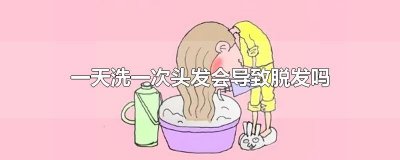 ​一天洗一次头发会导致脱发吗