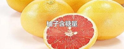 ​柚子含糖量