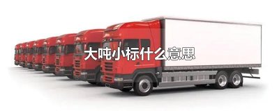 ​大吨小标什么意思
