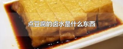 ​点豆腐的卤水是什么东西