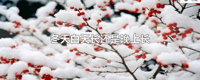 ​冬天白天长还是晚上长