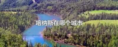 ​喀纳斯在哪个城市