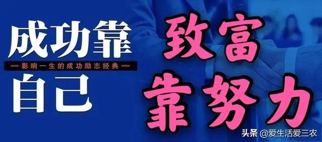 农村养殖什么不愁销路6个养殖项目（不想打工的农村人来看看）(11)