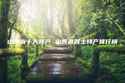 ​山西省十大特产(山西著名土特产排行榜)