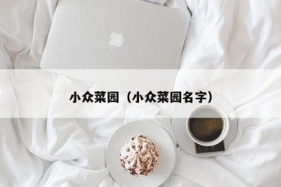 ​小众菜园（小众菜园名字）