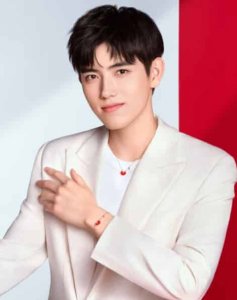 ​陈飞宇（中国内地男演员、配音演员，导演陈凯歌和演员陈红之子）