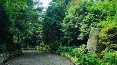 ​广州市什么景点值得玩必打卡网红地标盘点