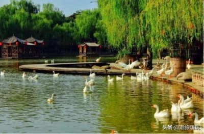 ​青海湖都有哪些景点青藏高原的明珠