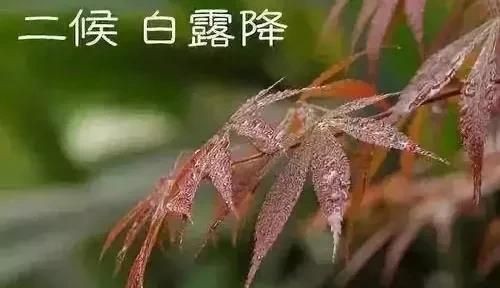 立秋时间，2025立秋时间几点几分？图5