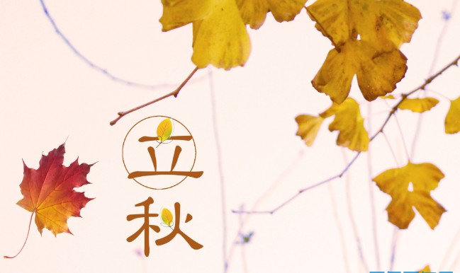 2025立秋时间几点几分