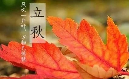 立秋时间，2025立秋时间几点几分？图3