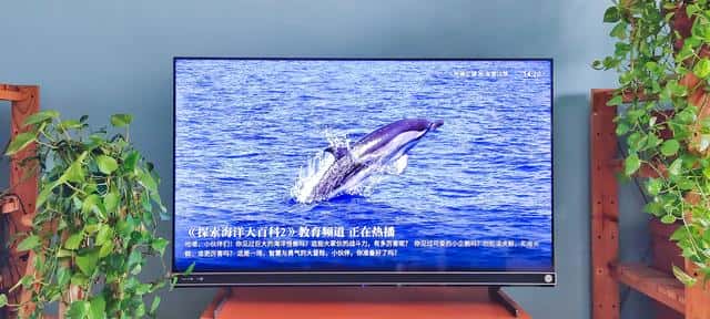 海信vidda质量怎么样（vidda是什么牌子电视）