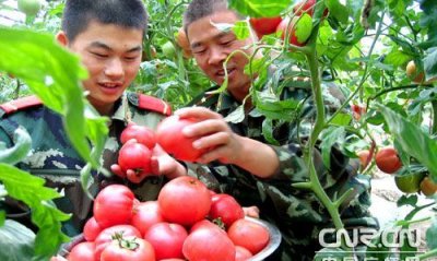 ​农副业生产,35岁不想打工了怎么办