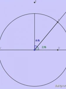 ​sin什么意思