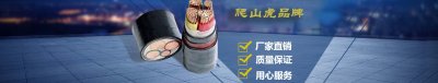 ​yjv22是什么电缆型号（zryjv22是什么电缆型号）