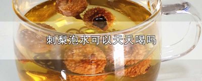 ​刺梨泡水可以天天喝吗