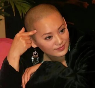 ​宁静个人资料简历（宁静剃光头是一种胆量）
