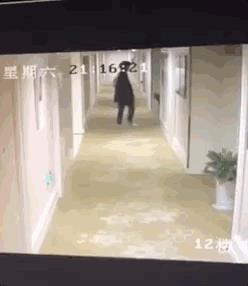 小鲜肉私下变身小野兽酒店私会！娱乐圈明星私生活到底有多迷乱！