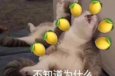 ​影视剧中女孩叫床有什么技巧 词汇一点都不重要
