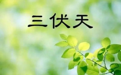 ​三伏贴有什么功效?贴三伏贴有什么注意事项?