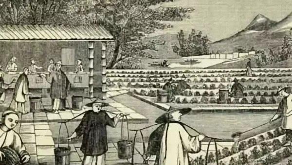 历史清代皇帝顺序，清代皇帝顺序是什么样的  4