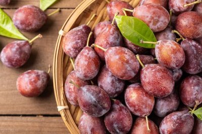 ​减肥可以吃西梅吗(越吃越瘦的10种水果)