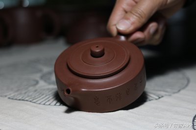 ​紫砂怎么养专家（紫砂如何养护）