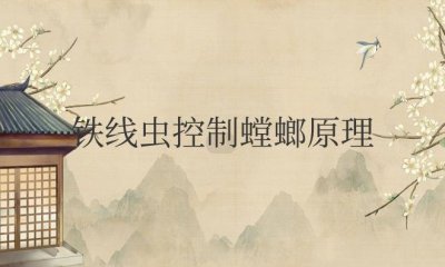 ​铁线虫控制螳螂原理