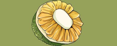​菠萝蜜隔夜可以吃吗