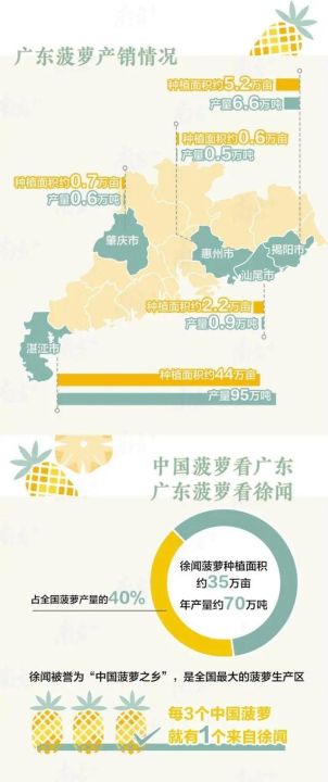 凤梨与菠萝的区别在哪（图文讲解二者之间的区别）