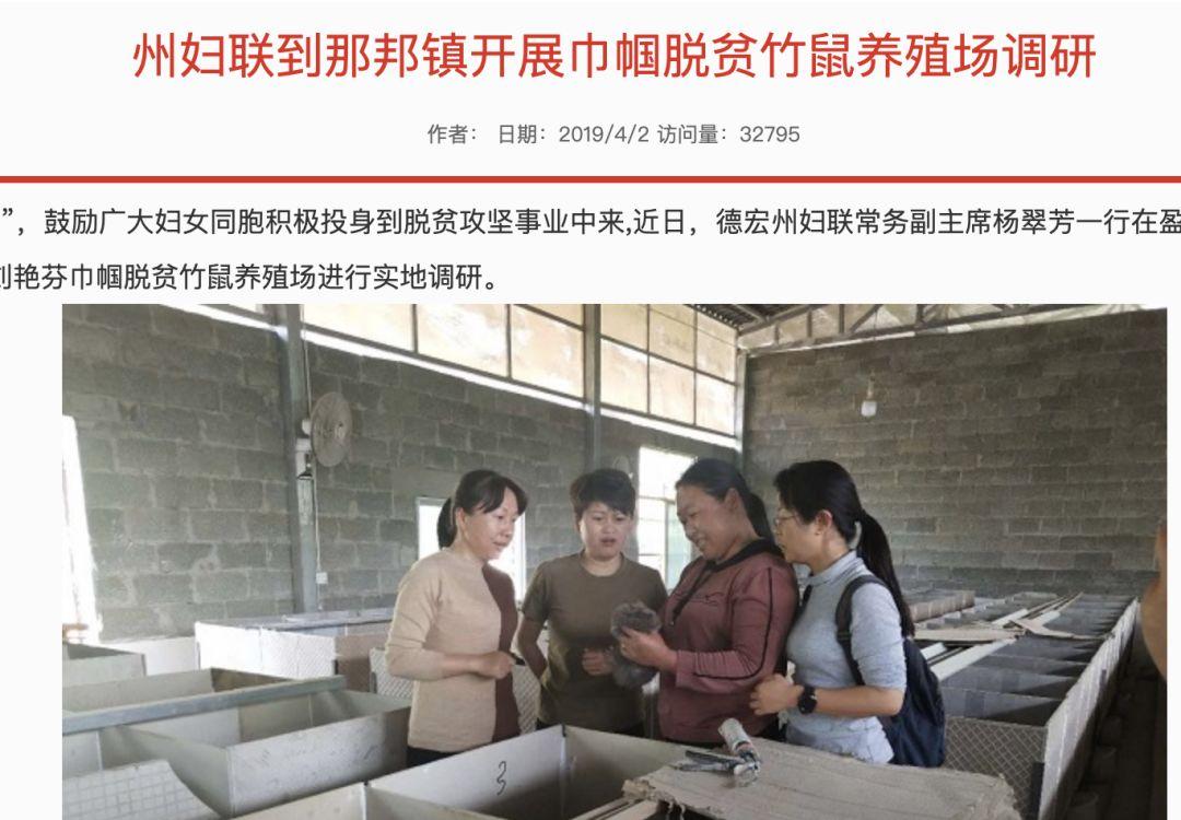 竹鼠是保护动物吗(竹鼠是几级保护动物)