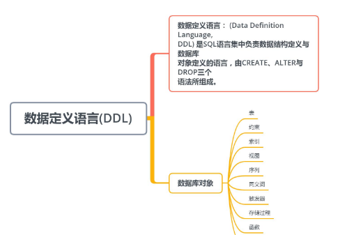 ddl选手是什么意思,ddl是什么图1