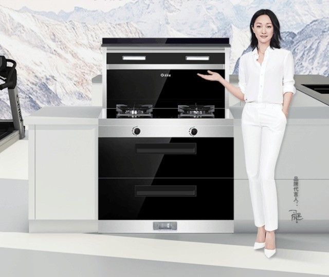灶台品牌排行榜前十名（集成灶十大品牌排行榜分享）