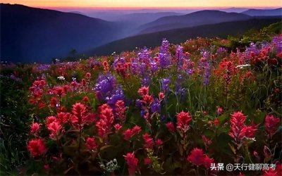 ​广州民航职业技术学院2024高考专科录取物理类最低436分历史423分