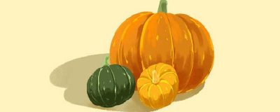 ​窝瓜的营养价值及营养成分