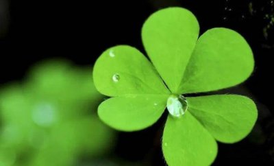 ​一对一心理咨询师（成为心理咨询师）