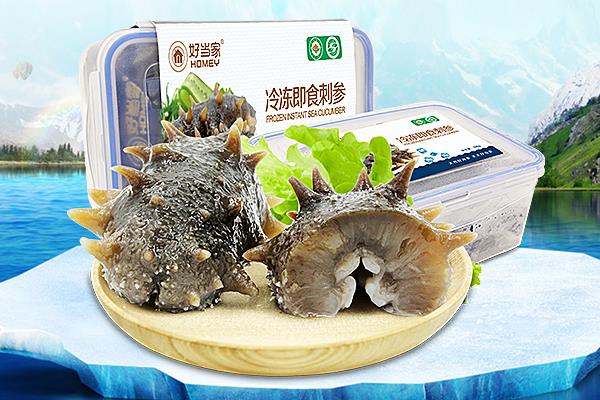 海参刺长好还是刺短好 太短没长好