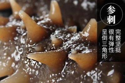 ​海参刺长好还是刺短好 太短没长好