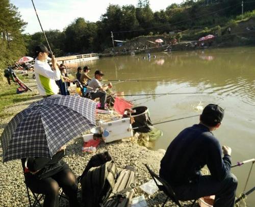 现在农村有哪些可以致富的项目(农村可以致富的几个项目)(3)