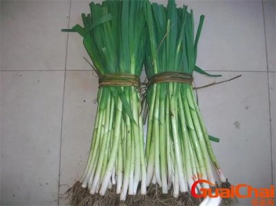 ​蒜苗种植方法 蒜苗图片