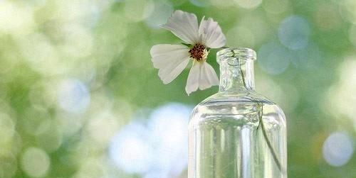 什么是卫冕冠军，什么叫卫冕冠军-什么叫卫冕冠军？图3