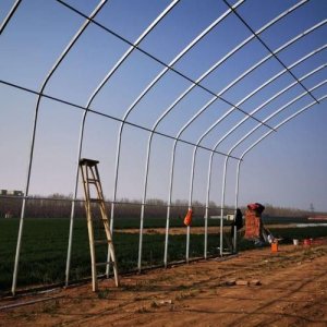 ​新型养殖大棚价格(新型养殖大棚材料)