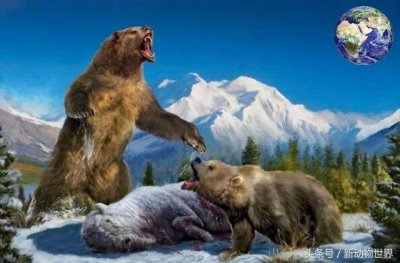 ​可怕的远古巨熊，身高达到4.3米，能一掌击碎猛犸象的头骨！