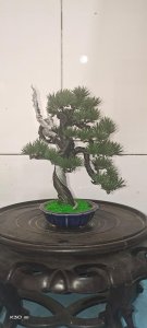 ​男人，好色有品！