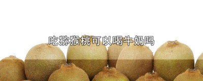 ​喝牛奶能吃猕猴桃 吃猕猴桃了能喝牛奶吗