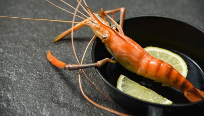 ​水喇蛄是什么