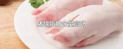 ​猪蹄含脂肪高吗? 猪蹄脂肪含量高吗孕妇可以吃吗早期宝宝