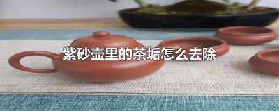 ​紫砂壶里的茶垢怎么去除