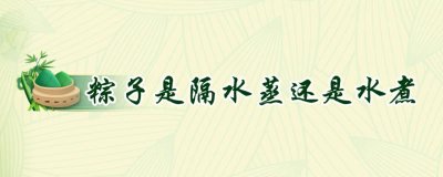 ​粽子是隔水蒸还是水煮的 粽子是隔水蒸还是水煮比较好