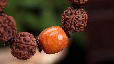 ​落地红和金刚菩提的区别